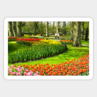 Keukenhof Tulip Festival, Holland Magnet